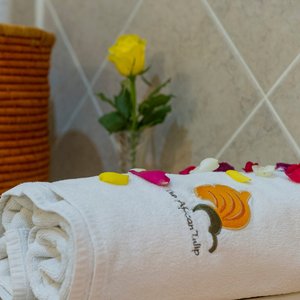 The African Tulip, hotel in Arusha