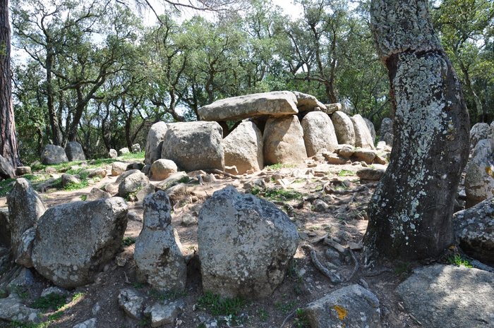 Imagen 3 de Cueva de Daina