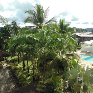 Jardines y piscina