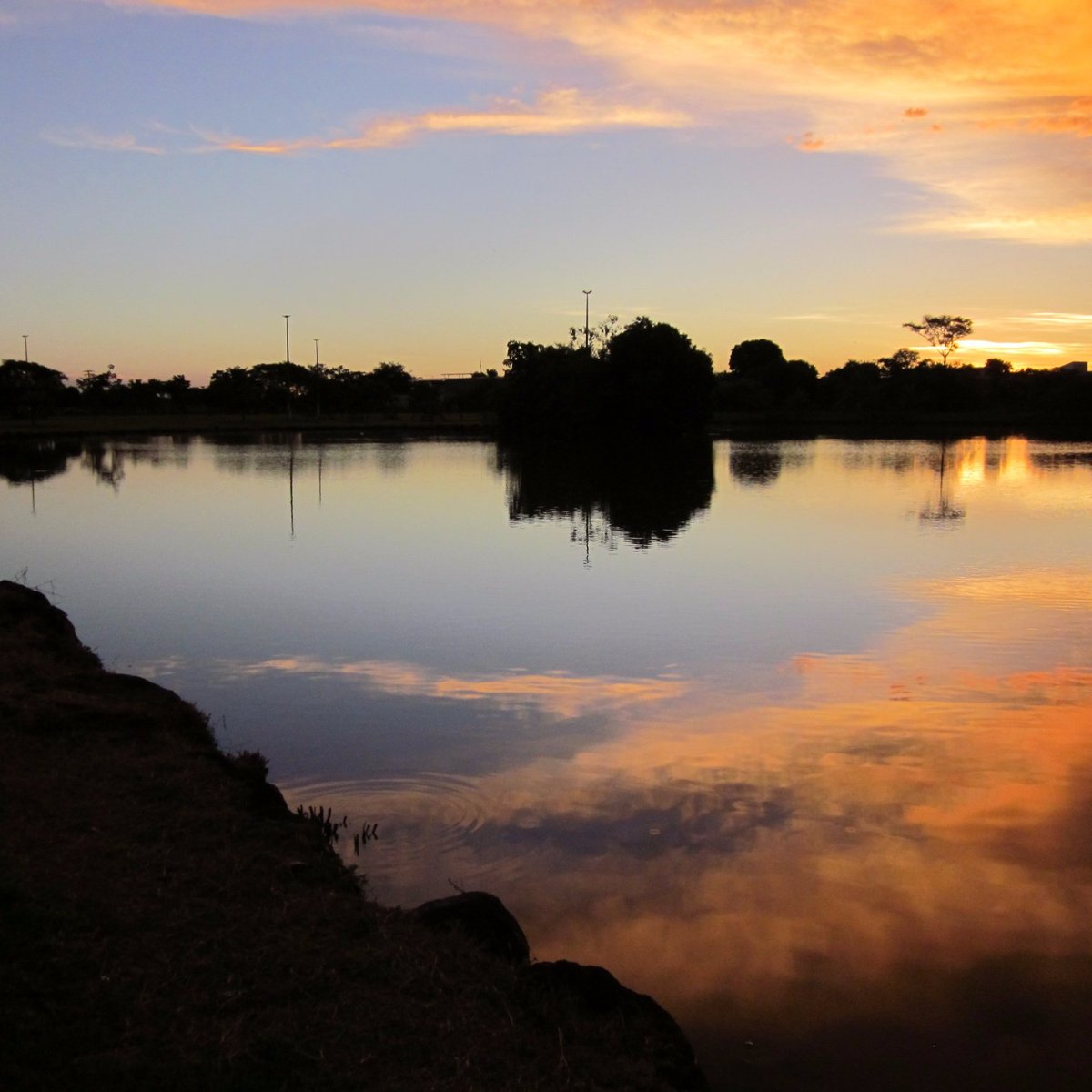 Lago Municipal (Pradopolis) Lohnt es sich? Aktuell für 2025 (Mit fotos)
