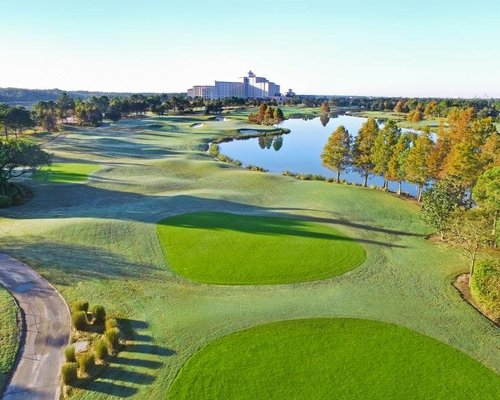 Golfe em Orlando: Conheça os melhores campos para praticar o esporte! 