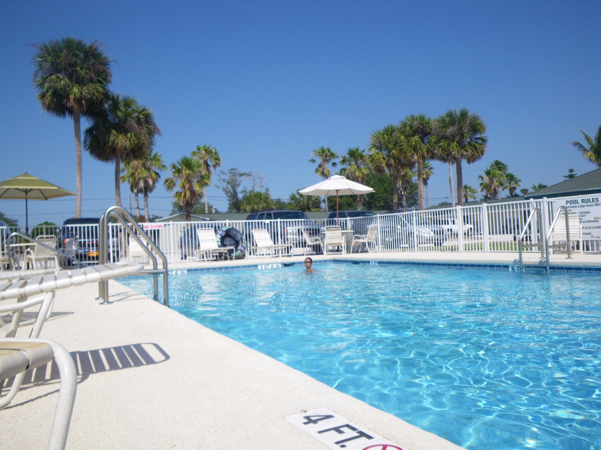 Sportsman's Lodge Pool: Pictures & Reviews - Tripadvisor