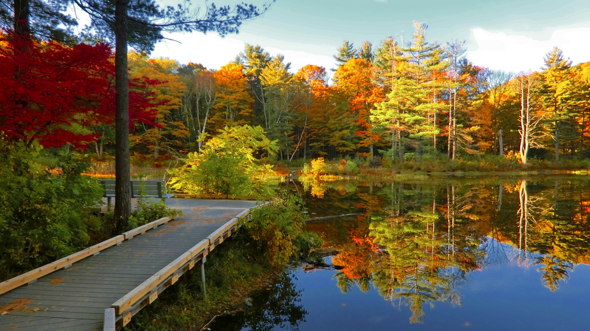 THE 15 BEST Things To Do In Berkshires - 2024 (with Photos) - Tripadvisor