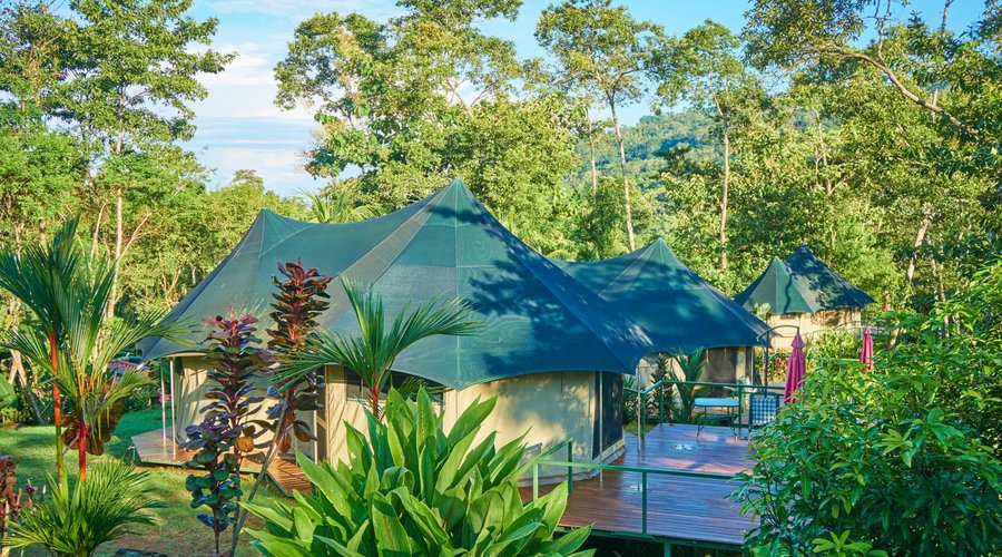 A view outside your jungle safari tent 'Las Carpas'