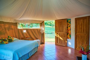 Room & Suite