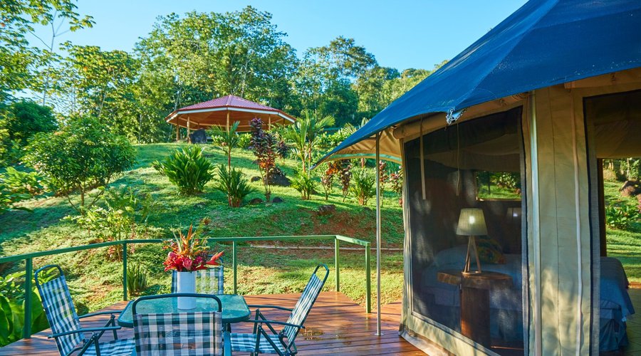 View from the wood balcony to the mountain top yoga platform