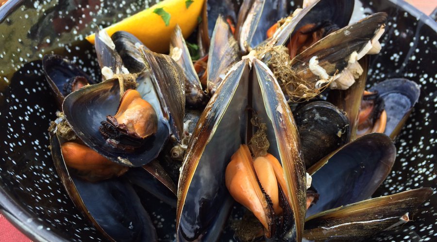 Steamed Mussels Tapas