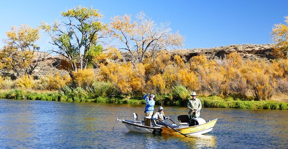 A Beginner's Guide To San Juan River Fly Fishing