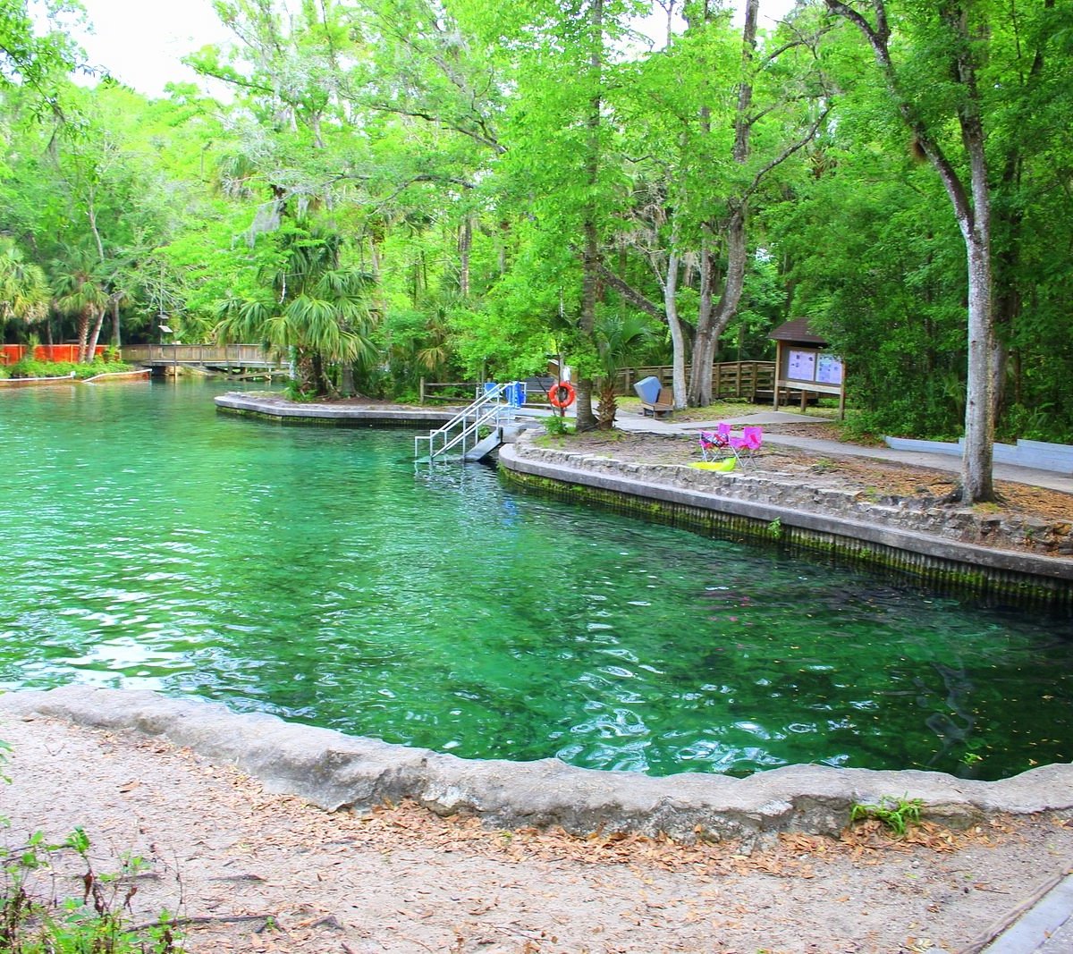 Kelly Park/Rock Springs: Beautiful park, cool swimming hole, shaded  campground