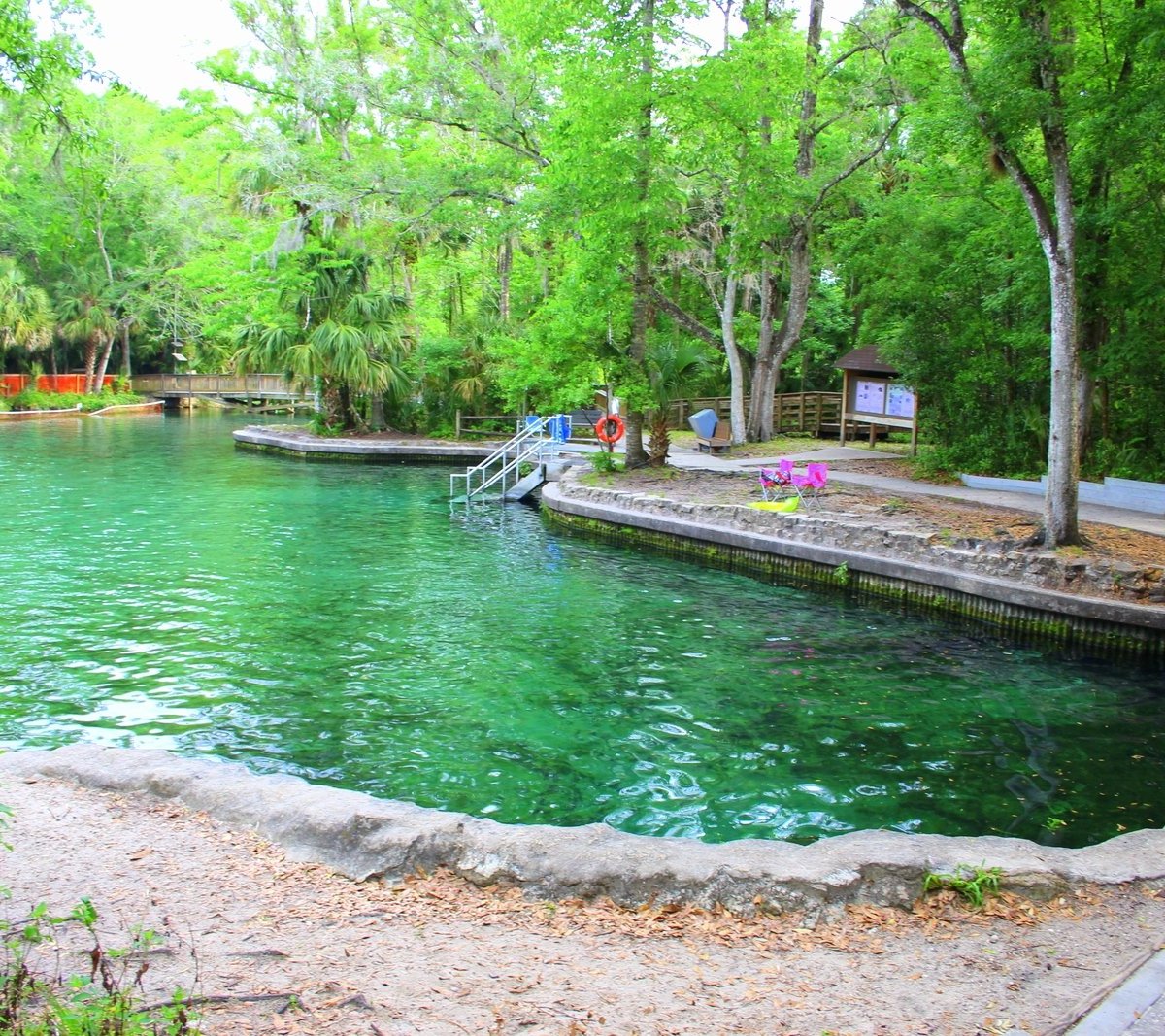 Wekiwa Springs State Park - All You Need to Know BEFORE You Go (2025)