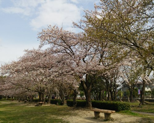 THE 10 BEST Parks & Nature Attractions in Nagoya (Updated 2023)