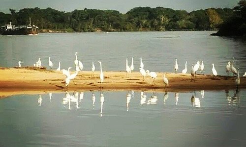 Jogue limpo! - Município de General Câmara Rio Grande do Sul