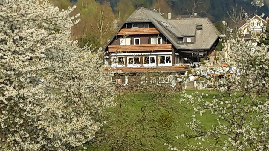 Blüten-Blick vom Hungerberg auf "Pfeffer und Salz" - Anfang April 2017