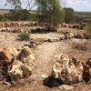 Things To Do in Barcaldine Tourist Information Centre, Restaurants in Barcaldine Tourist Information Centre