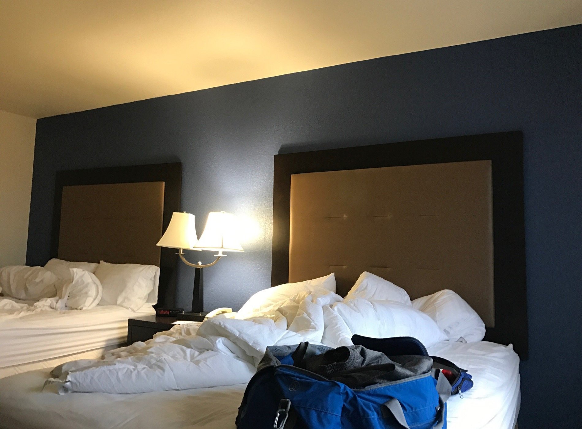 Holiday Inn Express & Suites New Buffalo, MI by null