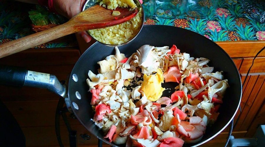 Preparação dos cogumelos.