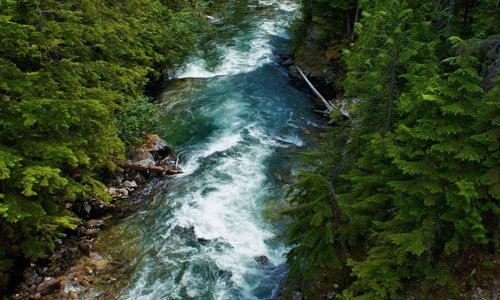 Nakusp, British Columbia 2024: Best Places to Visit - Tripadvisor