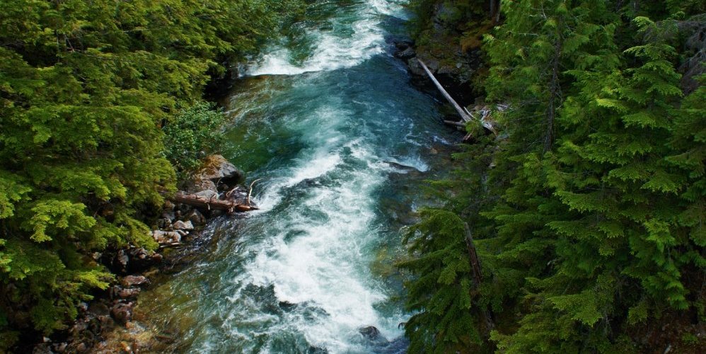 Nakusp, British Columbia 2024: Best Places to Visit - Tripadvisor