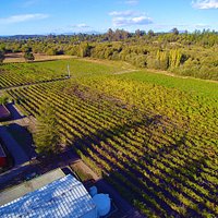Char Vale Vineyards over view of our property