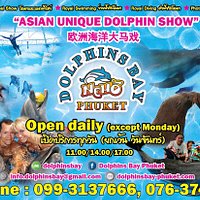Dolphins Bay Phuket