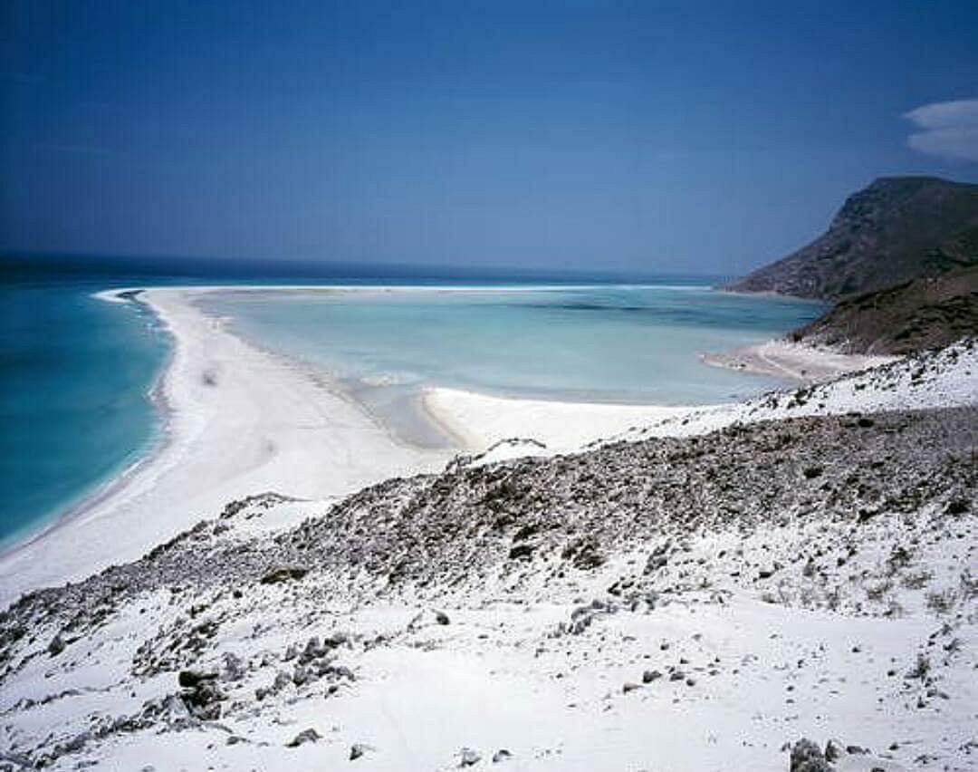 socotra island yemen tourism
