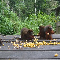 Hora del desayuno