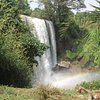 Things To Do in Mount Cameroon, Restaurants in Mount Cameroon