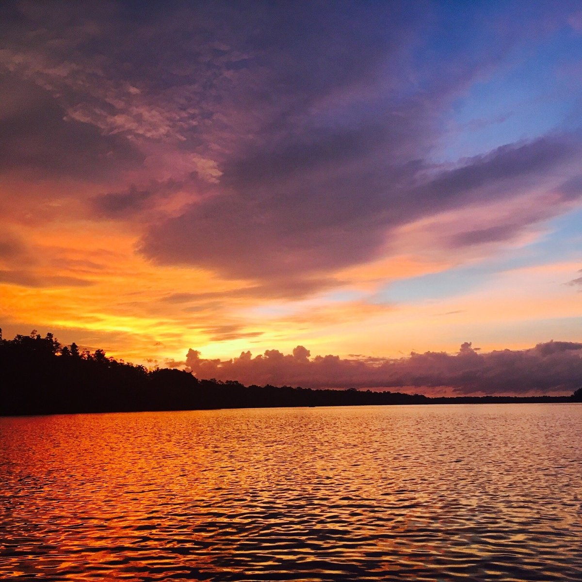 KUCHING WETLANDS NATIONAL PARK - All You Need to Know BEFORE You Go