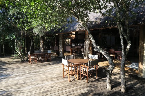 royal thonga safari lodge contact number