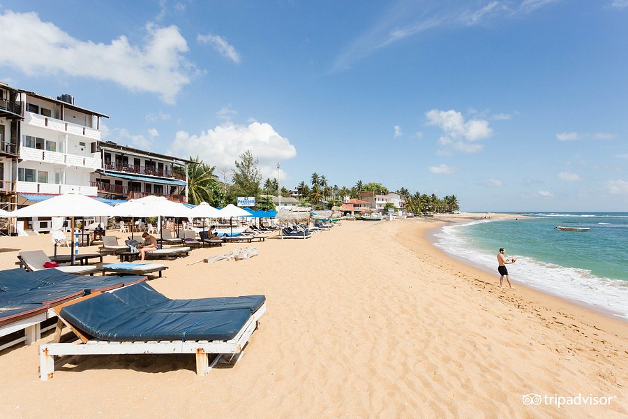 UNAWATUNA BEACH BUNGLOW Hotel (Sri Lanka): Prezzi 2021 e recensioni