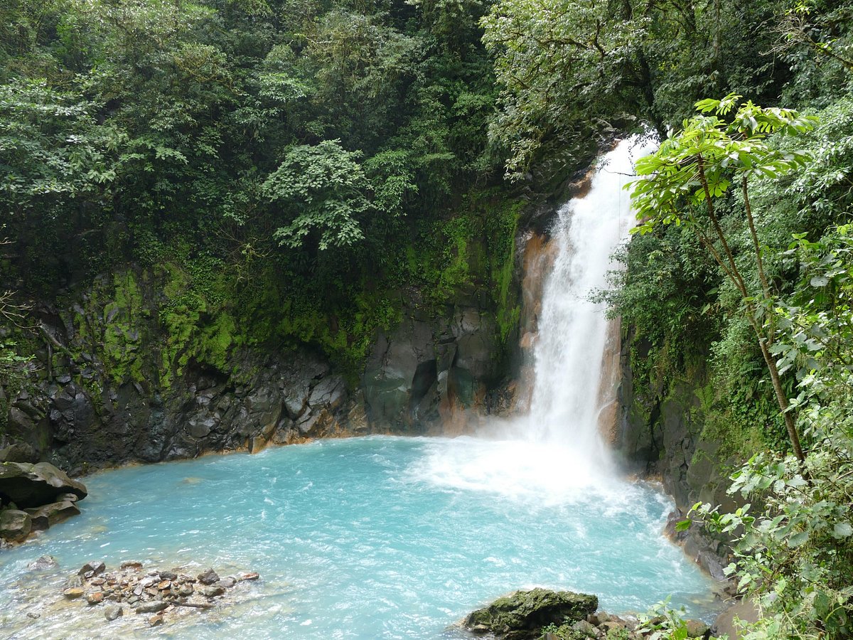 La carolina