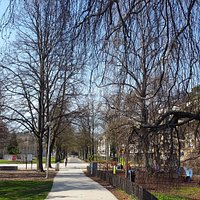Walk