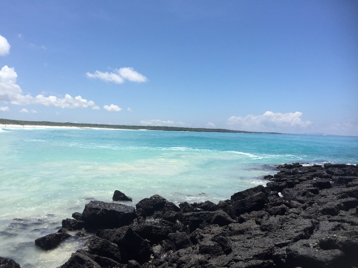 GALAPAGOS BEACH AT TORTUGA BAY (Santa Cruz) - 2023 What to Know BEFORE You  Go