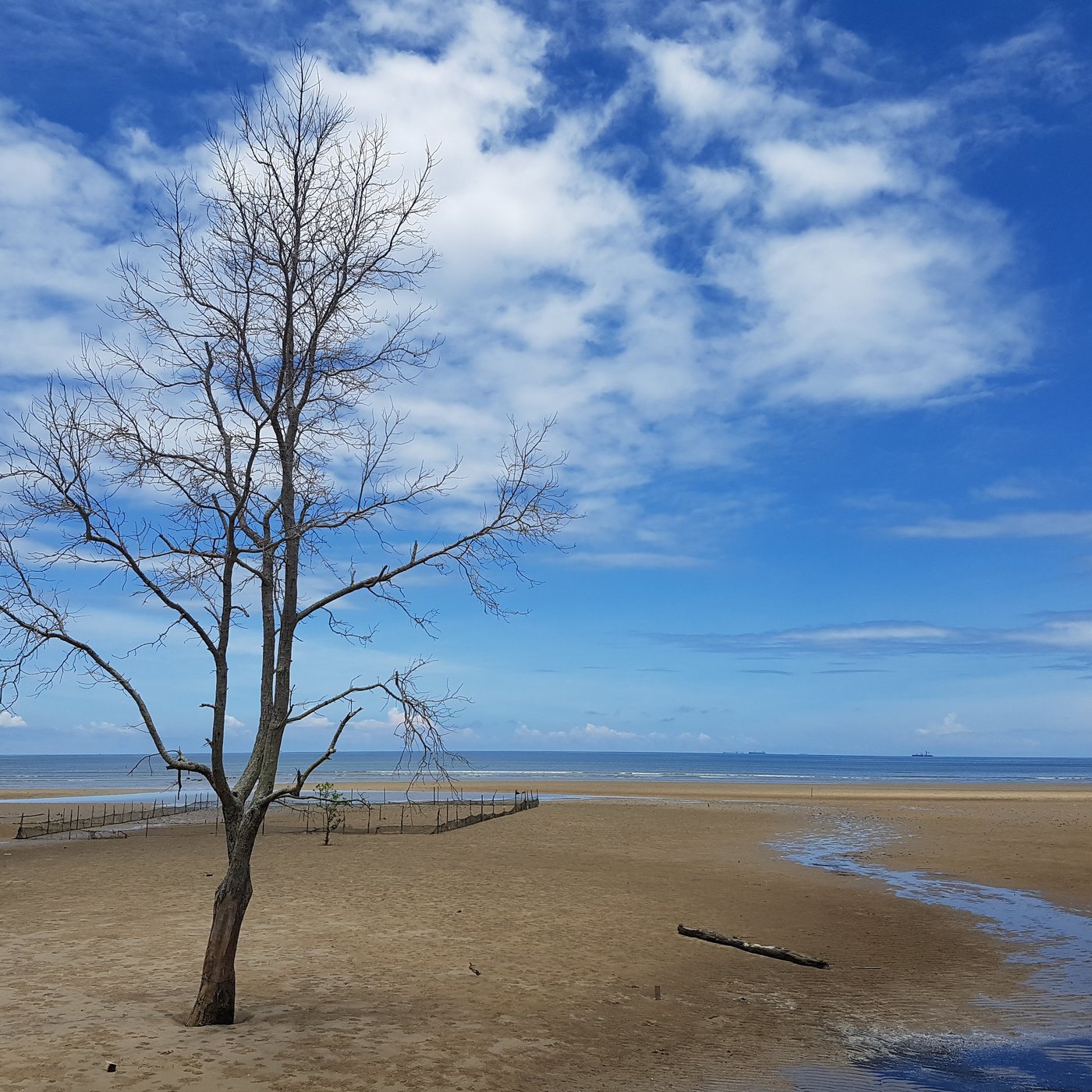 tarakan kalimantan timur indonesia