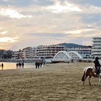 la plage en hiver pendant les fêtes de noël