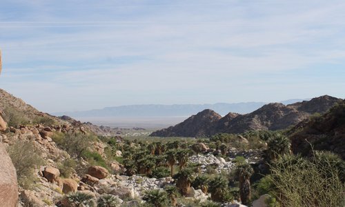 view out over the oasis toward the dry lake bed