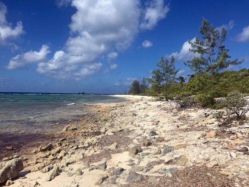 Little Cayman review images