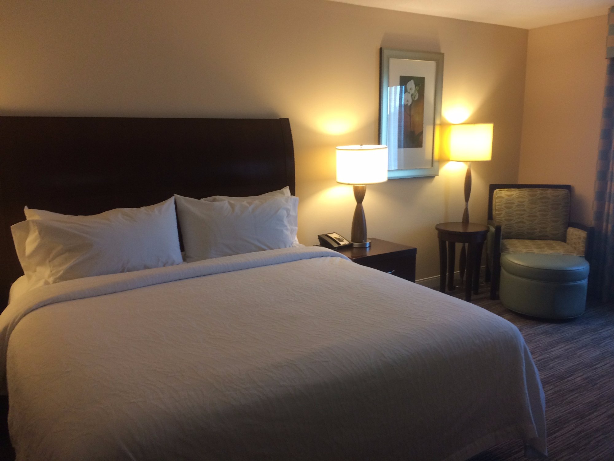 HILTON GARDEN INN MOBILE WEST I-65/AIRPORT BLVD. - Updated 2024 Prices ...