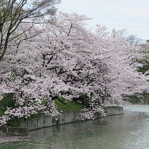 22年 元浜公園 行く前に 見どころをチェック トリップアドバイザー