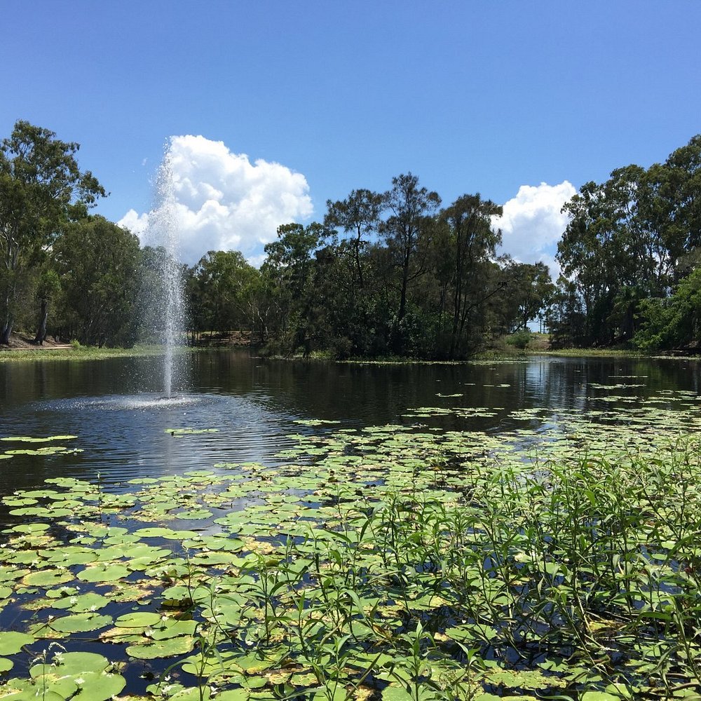 THE 10 BEST Things to Do in Gladstone - 2021 (with Photos) - Tripadvisor
