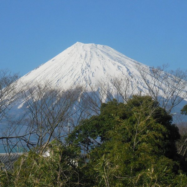 MOUNT FUJI CHILDREN'S WORLD - What to Know BEFORE You Go