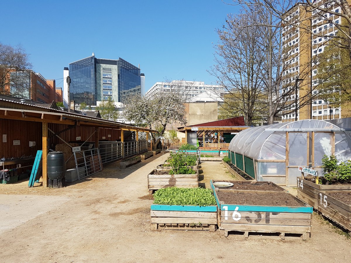 OASIS FARM WATERLOO (Londres) - Qué DEBES saber antes de ir