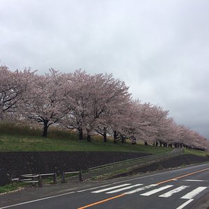 21年 戸田市で絶対外さないおすすめ観光スポットトップ10 定番から穴場まで トリップアドバイザー