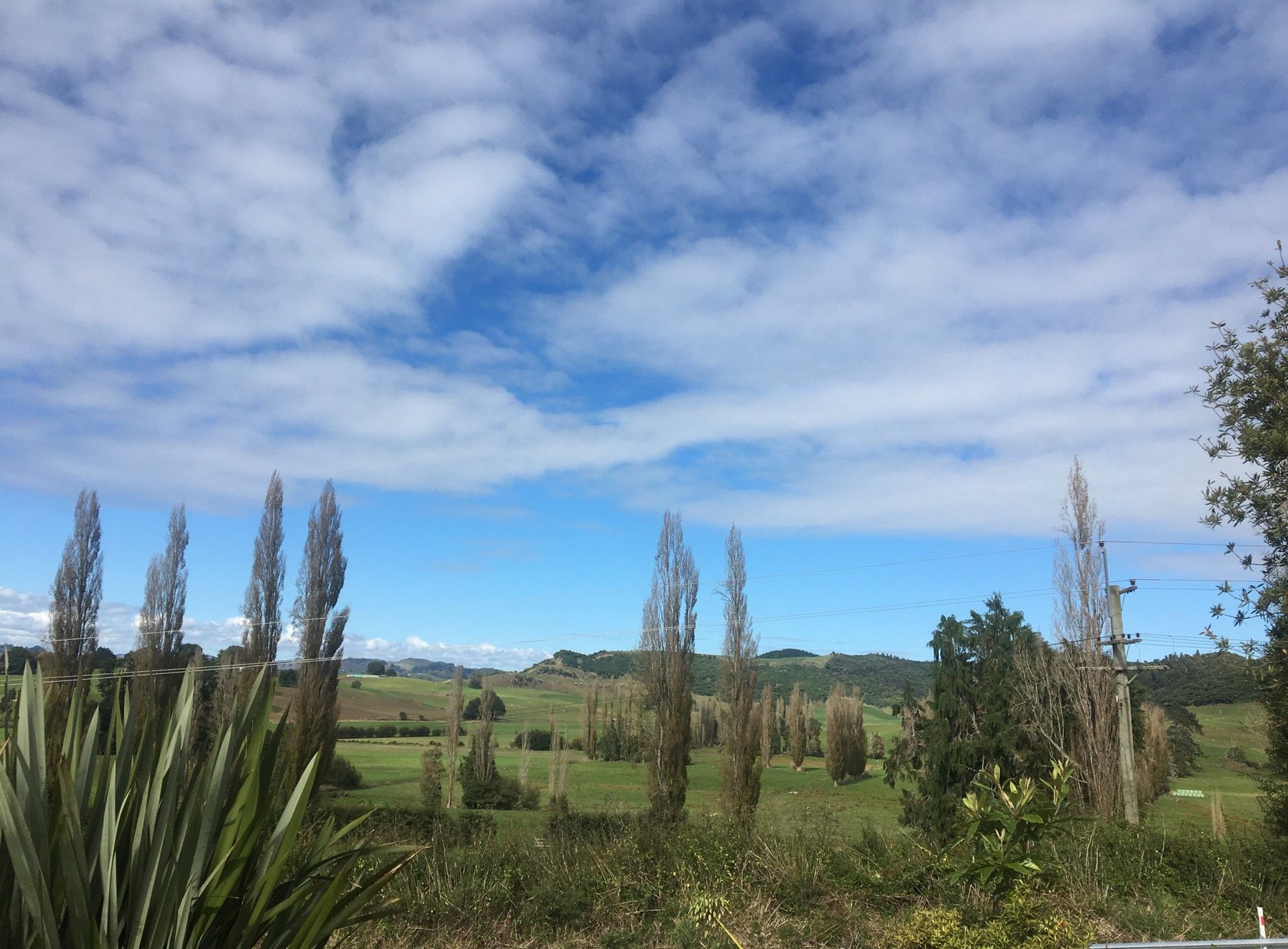 YHA Waitomo Juno Hall by null