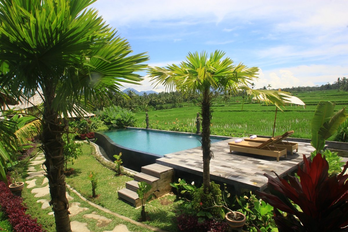 Padi Bali Ubud Eco Retreat Pool Pictures & Reviews - Tripadvisor