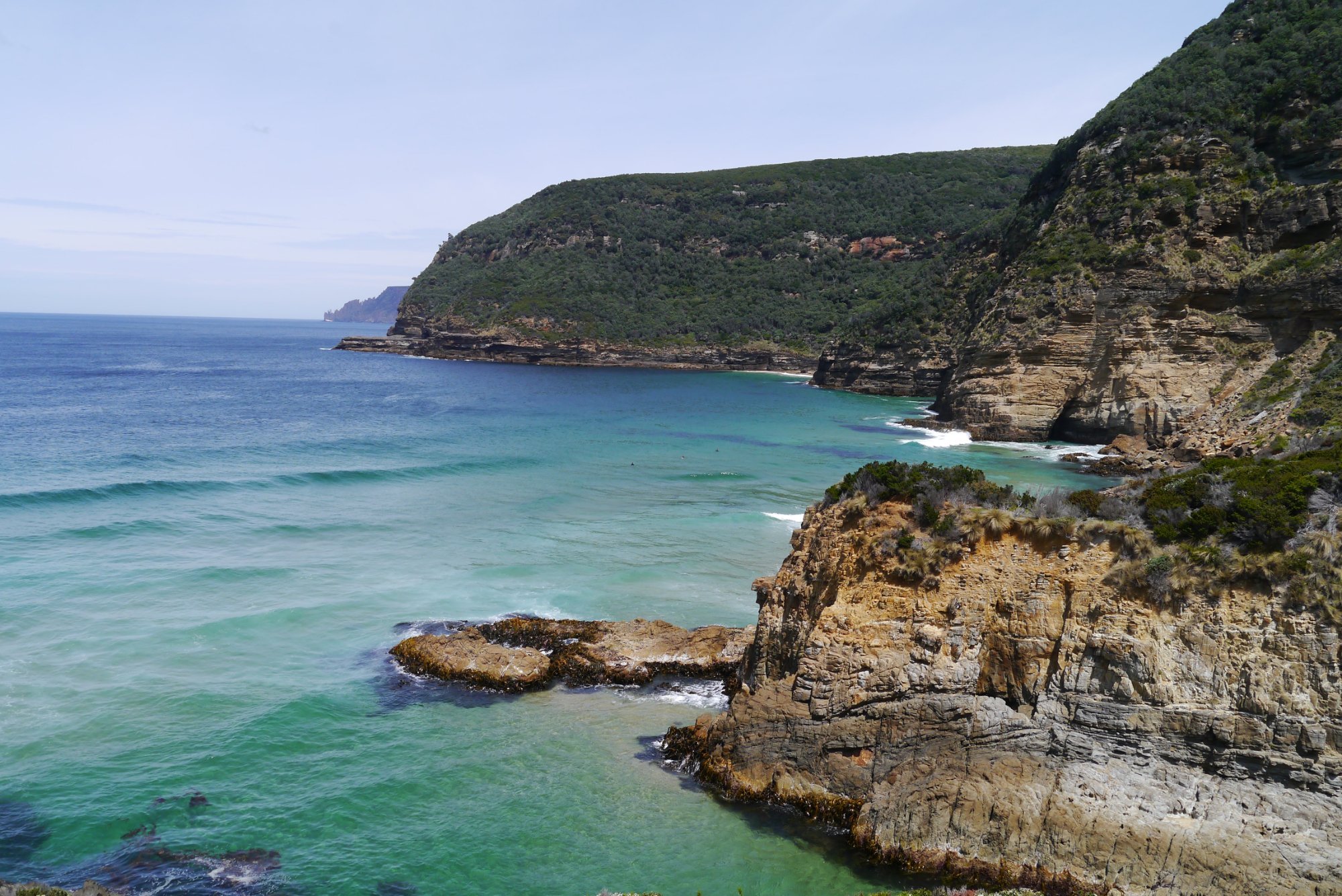 2024年 Tassie Road Trips 出発前に知っておくべきことすべて トリップアドバイザー 9477