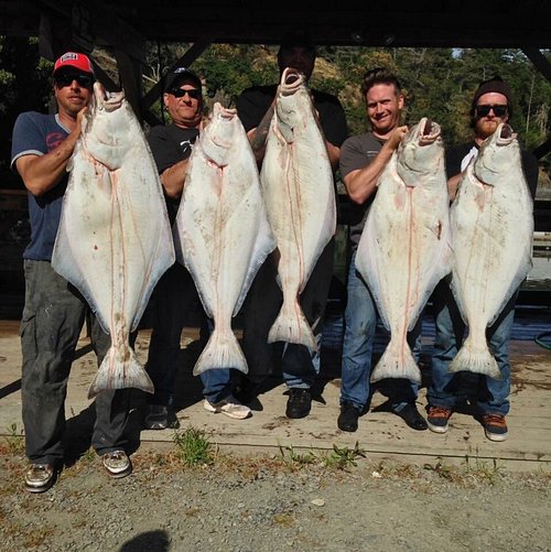 Sooke Basin charter fishing in a Glasply fishing boat. Large Tyee Spring  Salmon, Sockeye Salmon, Coho, Chum, and Pacific Halibut.