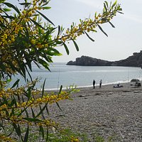 Cala Punta de la Mona-playa Ensenada de los Berengueles