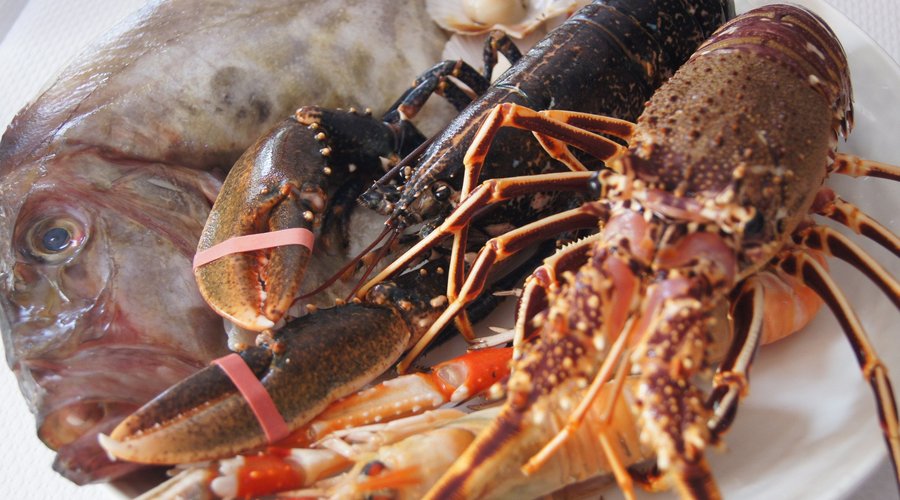 algunos de nuestros productos, gallo de san pedro, langosta de menorca y bogavante gallego