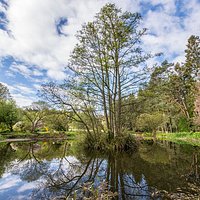 Silence and serenity at our lower pond